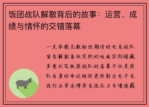 饭团战队解散背后的故事：运营、成绩与情怀的交错落幕